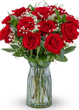 Benchmark Bouquets - 12 Stem Red Roses (Glass Vase Included) - Fresh Flowers for Next Day Delivery - Gift for Birthday, Anniversary, Get Well, Sympathy, Congratulations, Valentine's Day